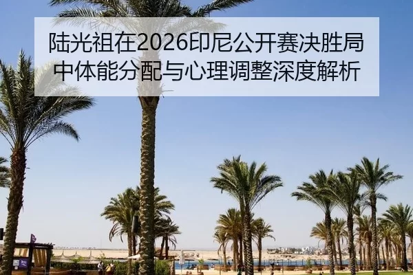 lu-guang-zu-zai-yin-ni-gong-kai-sai-jue-sheng-ju-zhong-ti-neng-fen-pei-yu-xin-li-tiao-zheng-shen-du-jie-xi-2-969.jpg